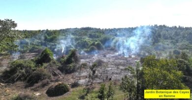 Destruction et fermeture prolongée : le Jardin Botanique des Cayes privé de public