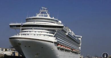 Norovirus: Plus de 115 cas recensés sur le Caribbean Princess en pleine croisière