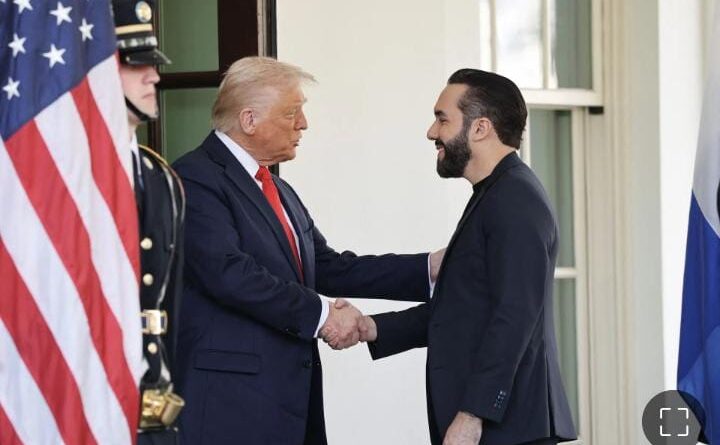 « Fè sa w gen pou w fè a ! » : Donald Trump bay Bukele limyè vèt pou ogmante prezans militè li an Ayiti